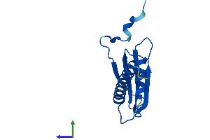 AlphaFold protein structure predicition of Human Recombinant POLR2J Protein, UniprotID P52435