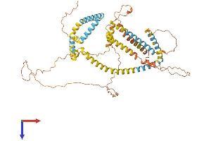 AlphaFold protein structure predicition of Human Recombinant PLIN1 Protein, UniprotID O60240