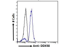 ABIN6391376 Flow cytometric analysis of paraformaldehyde fixed U937 cells (blue line), permeabilized with 0. (DDX58 anticorps  (C-Term))
