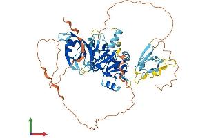 AlphaFold protein structure predicition of Human Recombinant NHERF4 Protein, UniprotID Q86UT5
