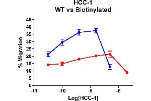 Cells expressing recombinant CCR1 were assayed for migration through a transwell filter at various concentrations of WT or Biotinylated HCC-1.