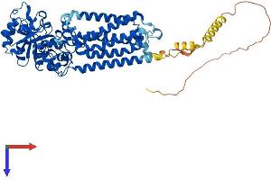AlphaFold protein structure predicition of Mouse Recombinant Gdpd5 Protein, UniprotID Q640M6