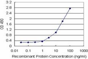Sandwich ELISA detection sensitivity ranging from 1 ng/mL to 100 ng/mL. (TYMS (Humain) Matched Antibody Pair)
