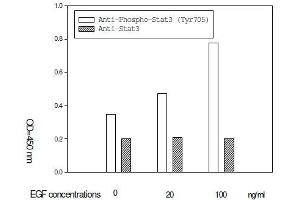 A431 cells were stimulated by different concentration EGF for 30 min at 37 °C