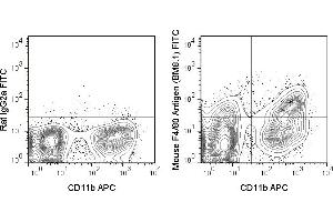 C57Bl/6 bone marrow cells were stained with APC Anti-Mouse CD11b (ABIN6961412) and 0. (F4/80 anticorps  (FITC))