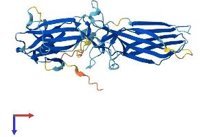 AlphaFold protein structure predicition of Mouse Recombinant Arr3 Protein, UniprotID Q9EQP6