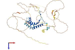 AlphaFold protein structure predicition of Human Recombinant SOX10 Protein, UniprotID P56693