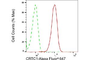 anti-CREB Regulated Transcription Coactivator 1 (CRTC1) antibody