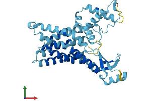 AlphaFold protein structure predicition of Human Recombinant SFXN2 Protein, UniprotID Q96NB2