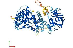 AlphaFold protein structure predicition of Human Recombinant TBC1D24 Protein, UniprotID Q9ULP9