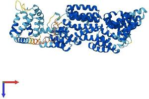 AlphaFold protein structure predicition of Mouse Recombinant Anapc5 Protein, UniprotID Q8BTZ4