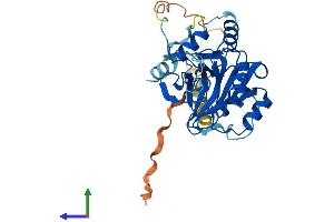 AlphaFold protein structure predicition of Mouse Recombinant Snupn Protein, UniprotID Q80W37