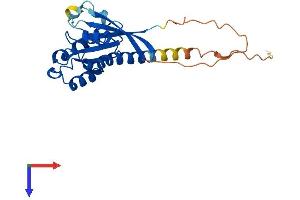 AlphaFold protein structure predicition of Human Recombinant RAB33A Protein, UniprotID Q14088