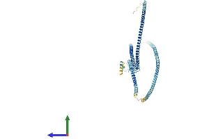 AlphaFold protein structure predicition of Human Recombinant MNS1 Protein, UniprotID Q8NEH6