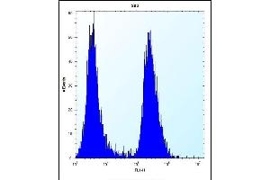 EIF2B1 Antibody (Center) (ABIN656348 and ABIN2845647) flow cytometric analysis of 293 cells (right histogram) compared to a negative control cell (left histogram).