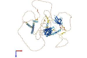 AlphaFold protein structure predicition of Mouse Recombinant Axin1 Protein, UniprotID O35625