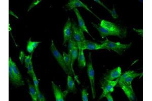 Image provided by One World Lab validation program.