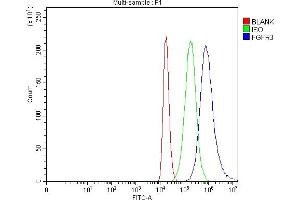 Flow Cytometry analysis of 293T cells using anti-FGFR3 antibody (ABIN7603047).