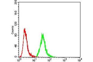 Flow cytometric analysis of MCF-7 cells using EZR mouse mAb (green) and negative control (red).