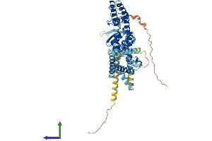 AlphaFold protein structure predicition of Mouse Recombinant Kcng4 Protein, UniprotID Q80XM3