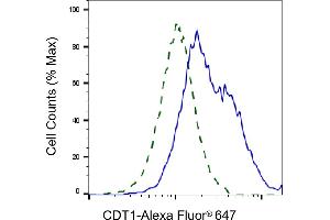 Validation of CDT1 knockdown using flow cytometry. (Recombinant CDT1 anticorps)
