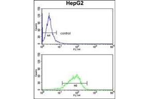 AP17436PU-N GPD1 Antibody (N-term) Flow Cytometry analysis of HepG2 cells (bottom histogram) compared to a negative control cell (top histogram). (GPD1 anticorps  (N-Term))