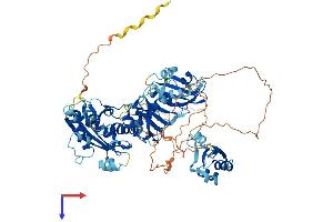 AlphaFold protein structure predicition of Mouse Recombinant Esrp2 Protein, UniprotID Q8K0G8