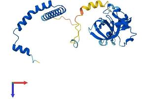 AlphaFold protein structure predicition of Mouse Recombinant Nsa2 Protein, UniprotID Q9CR47