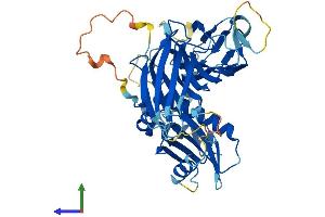 AlphaFold protein structure predicition of Mouse Recombinant Ap4m1 Protein, UniprotID Q9JKC7
