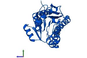 AlphaFold protein structure predicition of Mouse Recombinant Dcxr Protein, UniprotID Q91X52