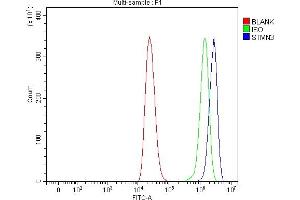 Flow Cytometry analysis of THP-1 cells using anti-STMN3 antibody (ABIN7600886).