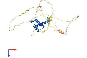 AlphaFold protein structure predicition of Mouse Recombinant Pitx3 Protein, UniprotID O35160