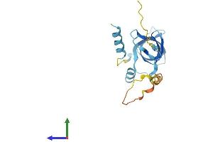 AlphaFold protein structure predicition of Human Recombinant EIF1AD Protein, UniprotID Q8N9N8