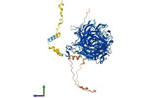 AlphaFold protein structure predicition of Mouse Recombinant Coro7 Protein, UniprotID Q9D2V7