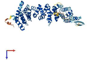 AlphaFold protein structure predicition of Human Recombinant ATXN10 Protein, UniprotID Q9UBB4
