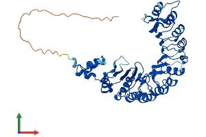 AlphaFold protein structure predicition of Mouse Recombinant Fbxl21 Protein, UniprotID Q8BFZ4