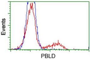 HEK293T cells transfected with either RC202328 overexpress plasmid (Red) or empty vector control plasmid (Blue) were immunostained by anti-PBLD antibody (ABIN2453427), and then analyzed by flow cytometry.