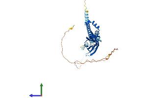 AlphaFold protein structure predicition of Mouse Recombinant Bscl2 Protein, UniprotID Q9Z2E9