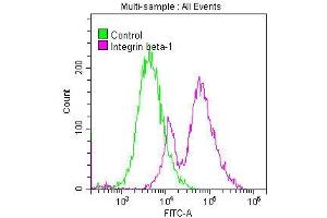Overlay histogram showing MCF-7 cells stained with ABIN7127584 (red line) at 1:50.