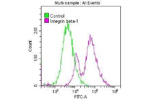 Overlay histogram showing MCF-7 cells stained with ABIN7127584 (red line) at 1:50. (Recombinant ITGB1 anticorps)