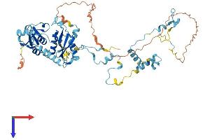 AlphaFold protein structure predicition of Mouse Recombinant Tsen54 Protein, UniprotID Q8C2A2