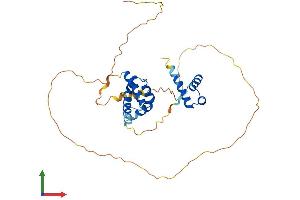 AlphaFold protein structure predicition of Mouse Recombinant Pou4f3 Protein, UniprotID Q63955