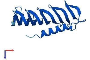 AlphaFold protein structure predicition of Human Recombinant MORN4 Protein, UniprotID Q8NDC4