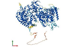 AlphaFold protein structure predicition of Human Recombinant NOL6 Protein, UniprotID Q9H6R4