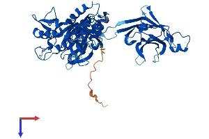 AlphaFold protein structure predicition of Mouse Recombinant Cpne2 Protein, UniprotID P59108