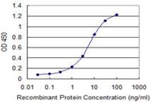 Detection limit for recombinant GST tagged HIPK1 is 0. (HIPK1 anticorps  (AA 330-430))