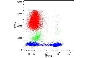 Dot plot Fig. (CD5 anticorps  (FITC))