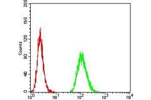 Flow cytometric analysis of MCF-7 cells using MET mouse mAb (green) and negative control (red).