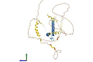 AlphaFold protein structure predicition of Human Recombinant BHLHE22 Protein, UniprotID Q8NFJ8