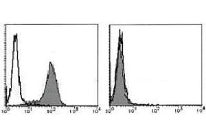 Flow Cytometry (FACS) image for anti-Fas Ligand (TNF Superfamily, Member 6) (FASL) antibody (ABIN1105941) (FASL anticorps)